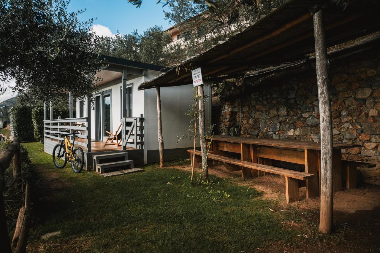 Agriturismo Rose Di Pietra П'єтра-Лігуре Екстер'єр фото