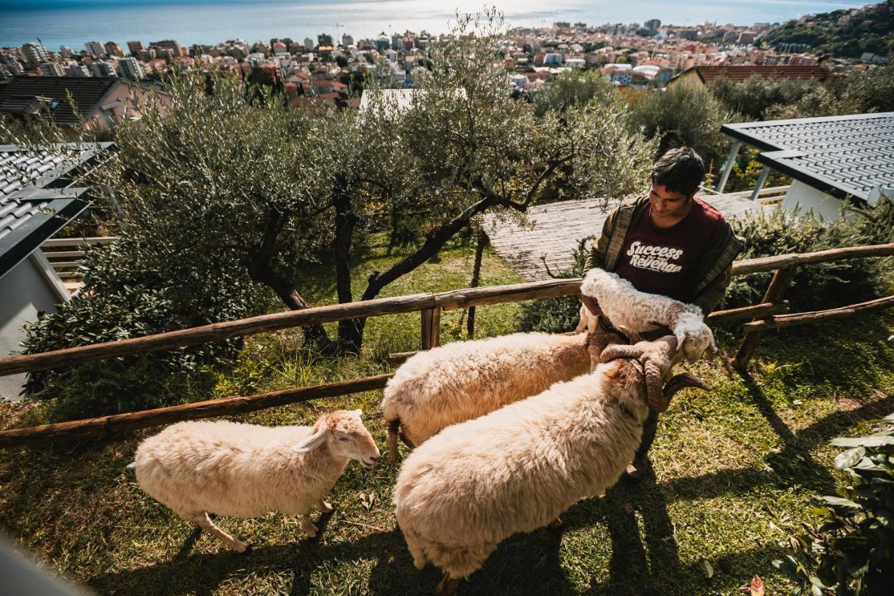 Agriturismo Rose Di Pietra П'єтра-Лігуре Екстер'єр фото